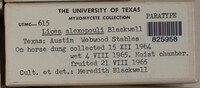 Image Associated With the Occurence